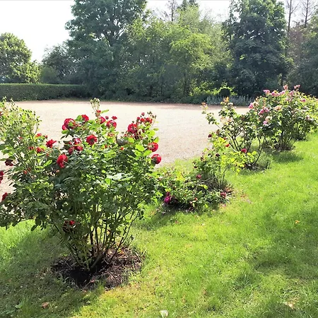 Auf Dem Kanstein Apartmán *