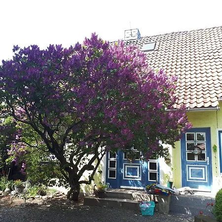 Apartmán Auf Dem Kanstein *