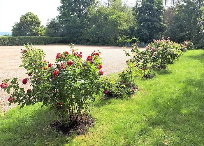 Auf Dem Kanstein 公寓 *