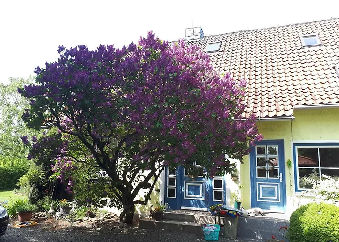 公寓 Auf Dem Kanstein *